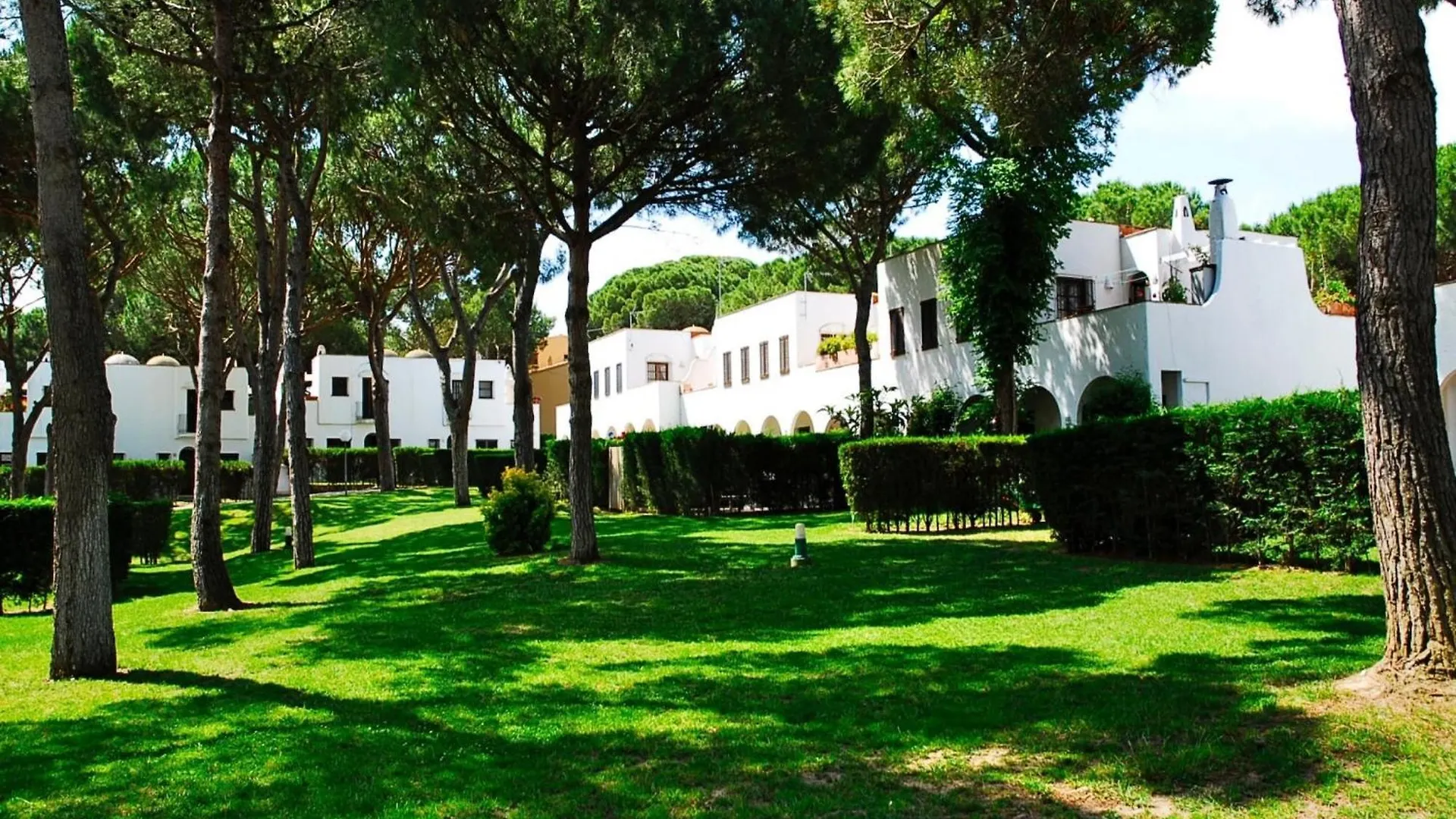 Piverd Del Golf 10 Pals